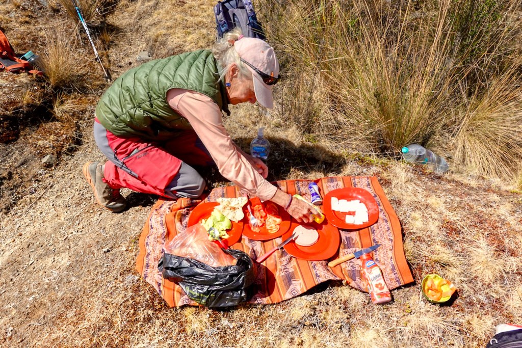 An individual preparing food on a red plate while sitting on a blanket outdoors, surrounded by nature.