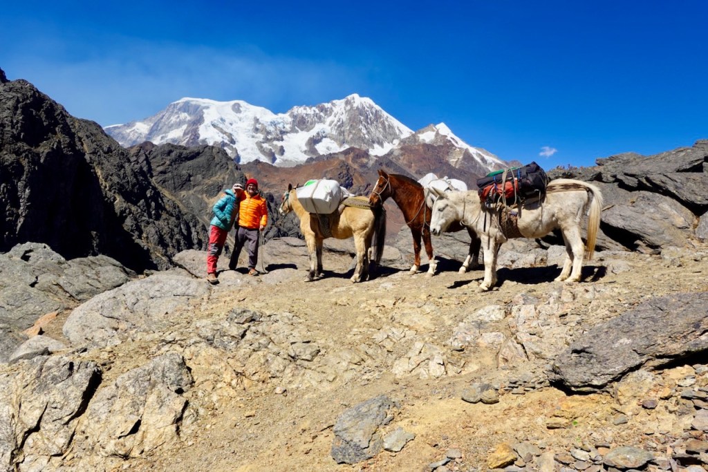 Two hikers standing next to pack horses on a rocky mountain trail with snow-capped peaks in the background.