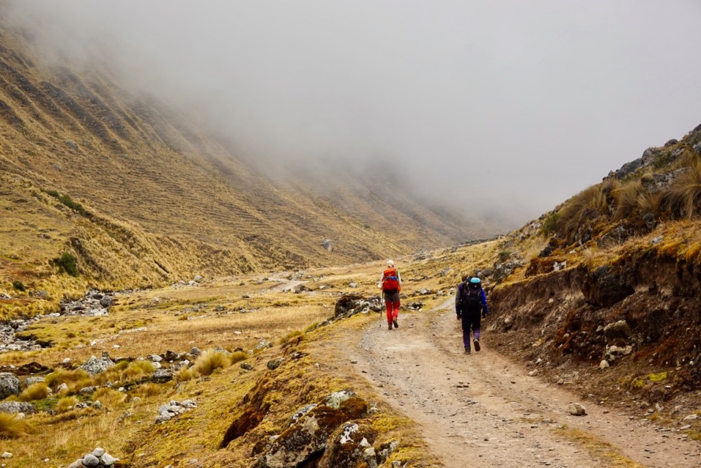 Two hikers walking along a dirt path in a mountainous landscape, surrounded by grassy hills and fog.