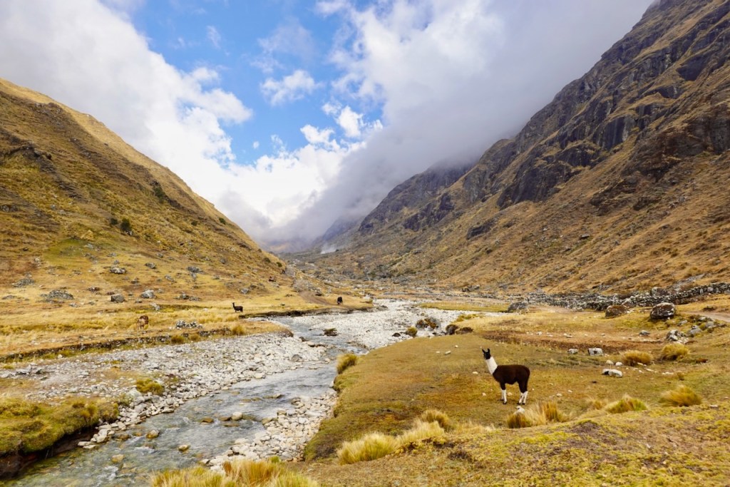 Scenic valley landscape with a stream and mountains in the background, featuring a llama grazing in the foreground.