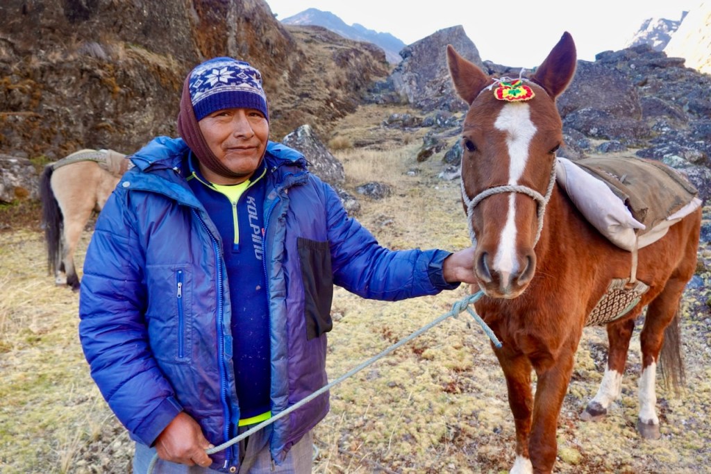A man in a blue jacket stands next to a brown horse in a mountainous landscape, holding the horse's lead rope. The horse is adorned with a decorative headpiece.