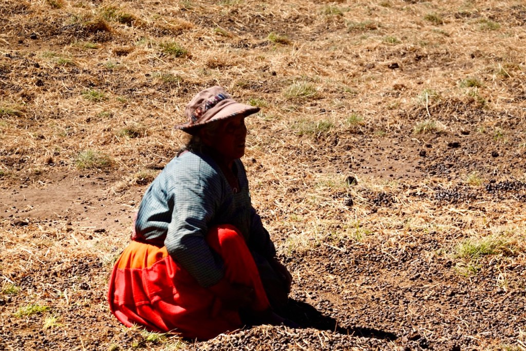 A woman sitting on the ground, wearing a traditional colorful outfit, with a hat, against a backdrop of dry grass and earth.