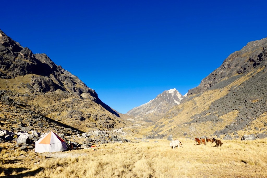 A scenic view of a valley with mountains and a clear blue sky. In the foreground, there's a white and orange tent, while a few horses graze nearby on dry grass.