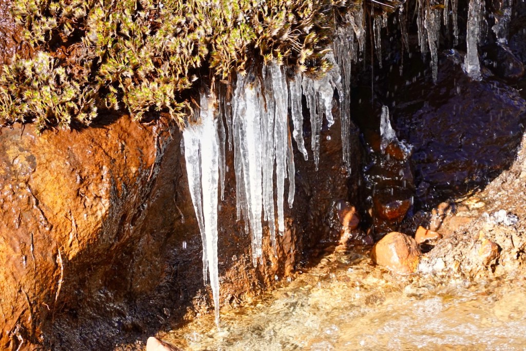 Icicles hanging from a rocky surface near flowing water, surrounded by moss and stones.