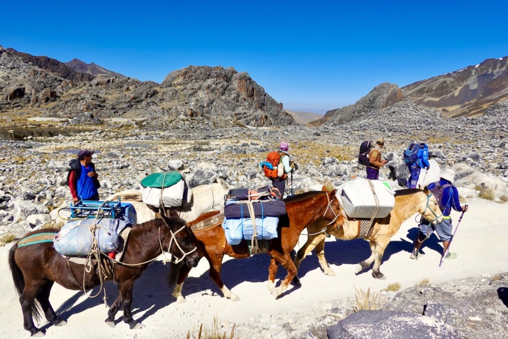 A group of hikers trekking through a mountainous landscape, accompanied by pack horses carrying supplies. The scene features rocky terrain and clear blue skies.