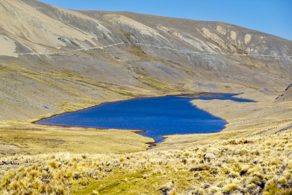 A serene landscape featuring a blue lake surrounded by dry grass and rocky mountains under a clear blue sky.