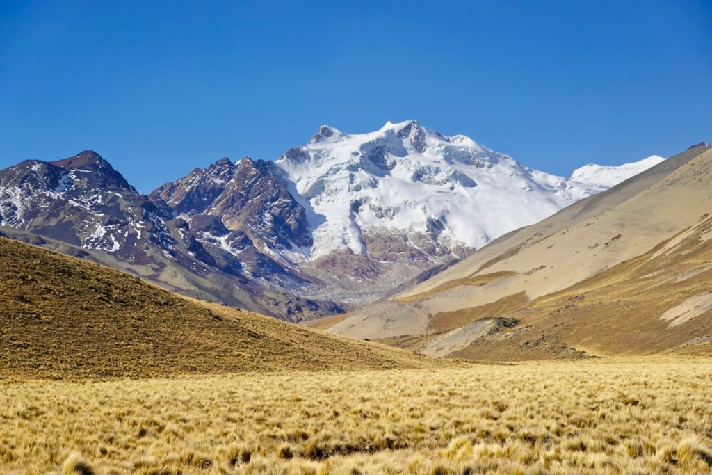A panoramic view of a snow-capped mountain range against a clear blue sky, with greenish-brown grassy plains in the foreground.