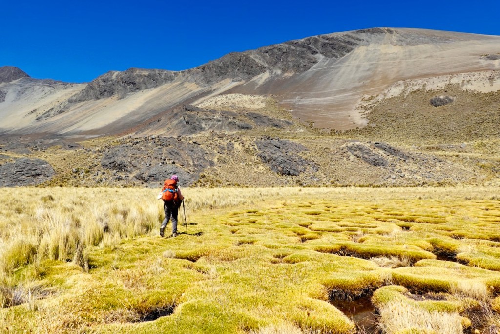 A hiker with a backpack walking through a grassy landscape dotted with moss-like formations, surrounded by mountains under a clear blue sky.