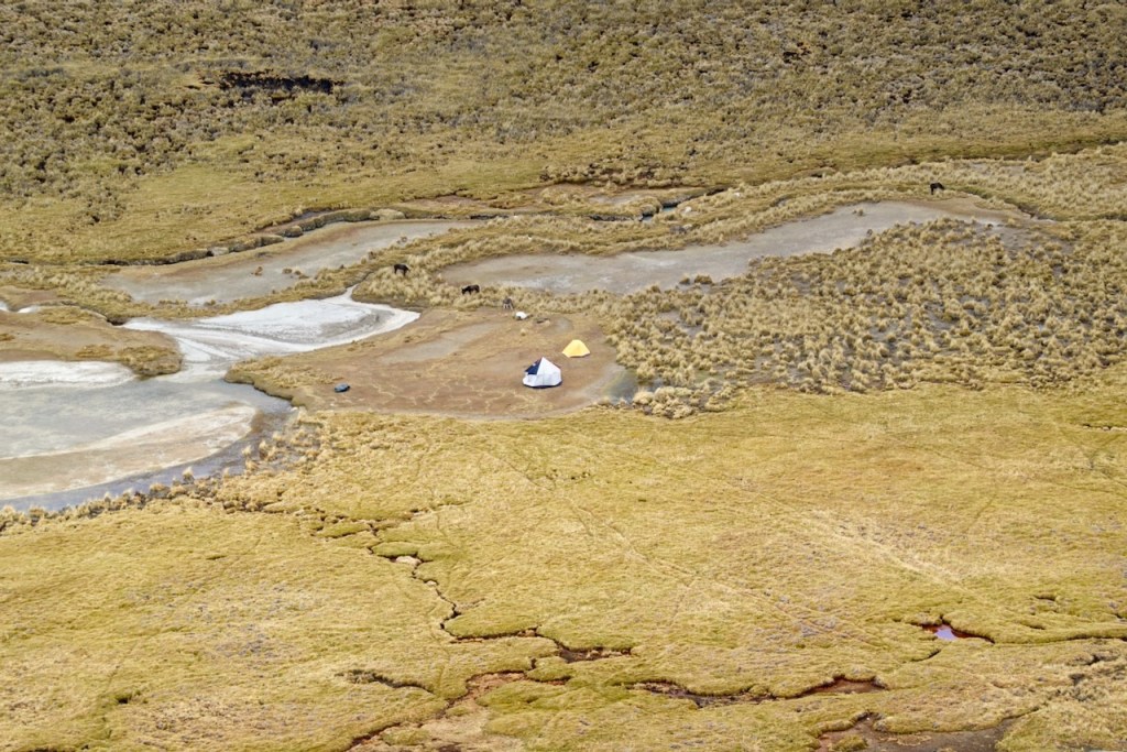 An aerial view of a campsite featuring a white tent and a yellow tent surrounded by a vast grassy landscape with patches of water and natural vegetation.