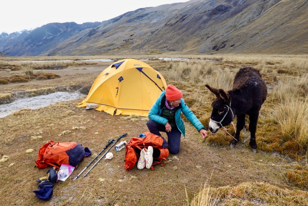 A hiker in a blue jacket and red hat kneels beside a donkey near a yellow camping tent in a mountainous landscape.