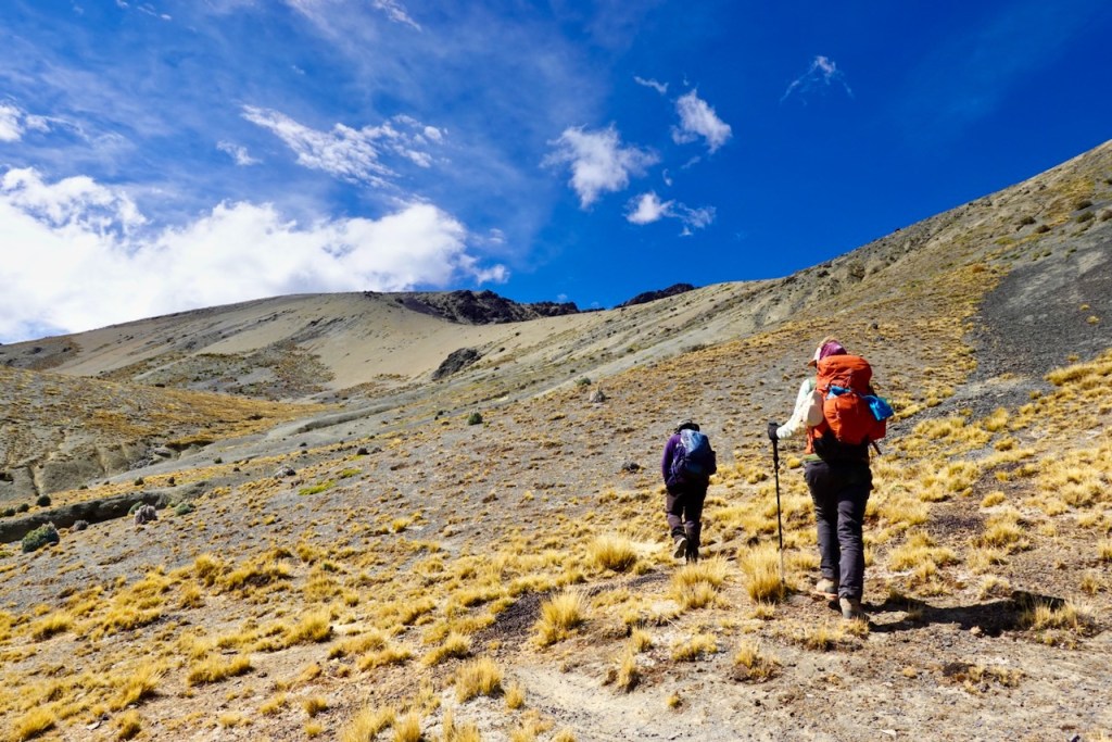 Two hikers ascending a grassy slope on a mountain trail under a bright blue sky.