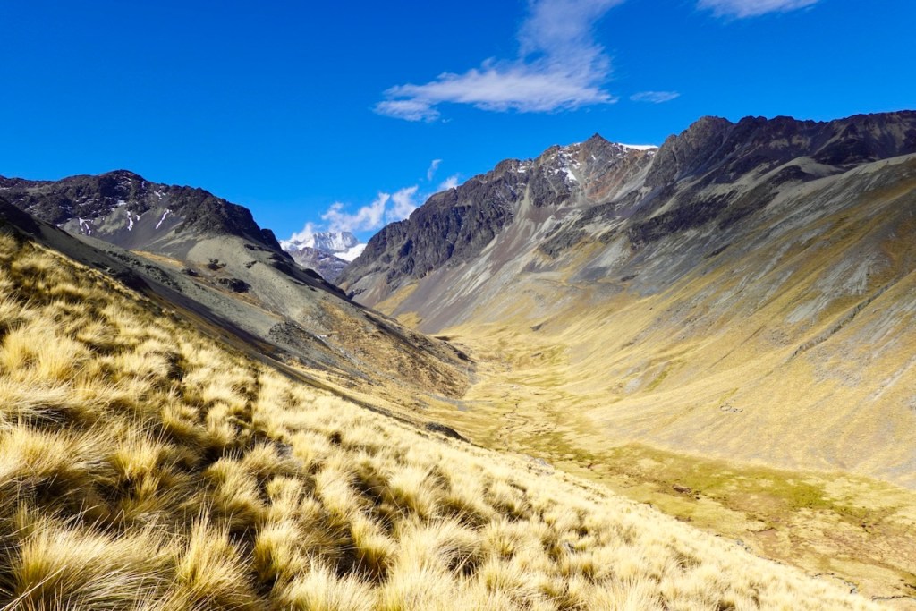 A scenic view of a mountainous valley with grasslands, blue skies, and rocky peaks in the background.