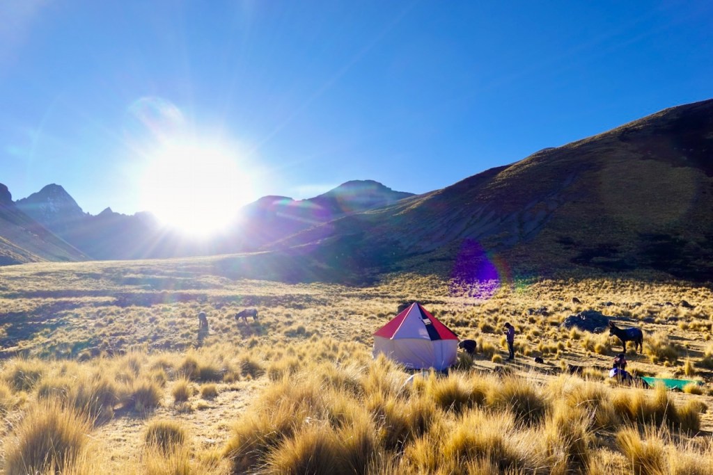 A picturesque campsite in a mountainous landscape during sunrise, featuring a tent with a red and white top, tall golden grass, and figures tending to horses.