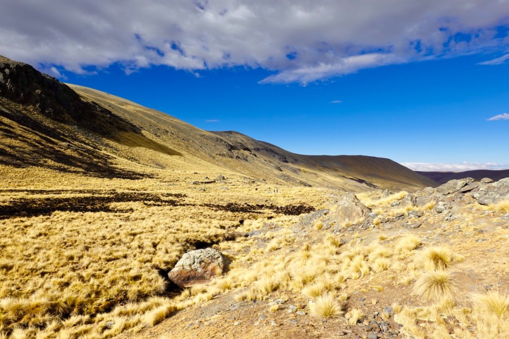 Scenic landscape of rolling hills covered in golden grass under a clear blue sky with fluffy clouds.