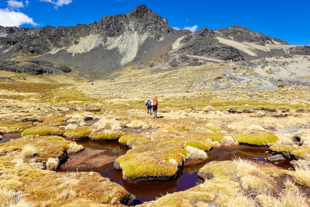 Two hikers walking through a grassy landscape with small streams and mountains in the background.