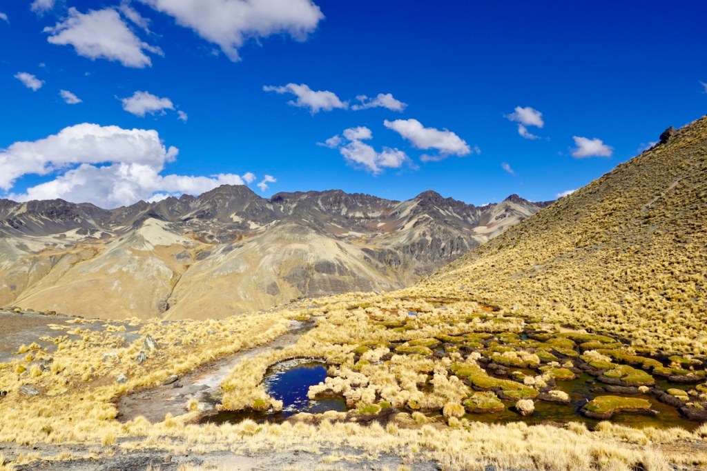 A scenic view of mountains under a blue sky with fluffy clouds, featuring grassy terrain and a small pond surrounded by yellowish vegetation.