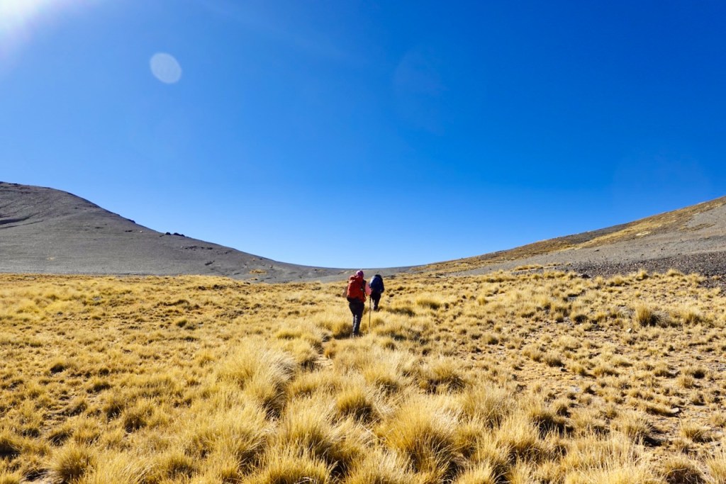Two hikers walking through a grassy landscape with mountains in the background under a clear blue sky.