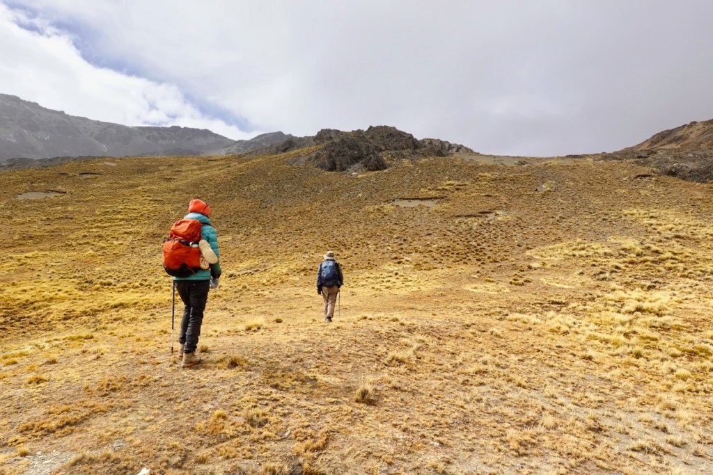 Two hikers traversing a grassy, mountainous landscape under a cloudy sky.