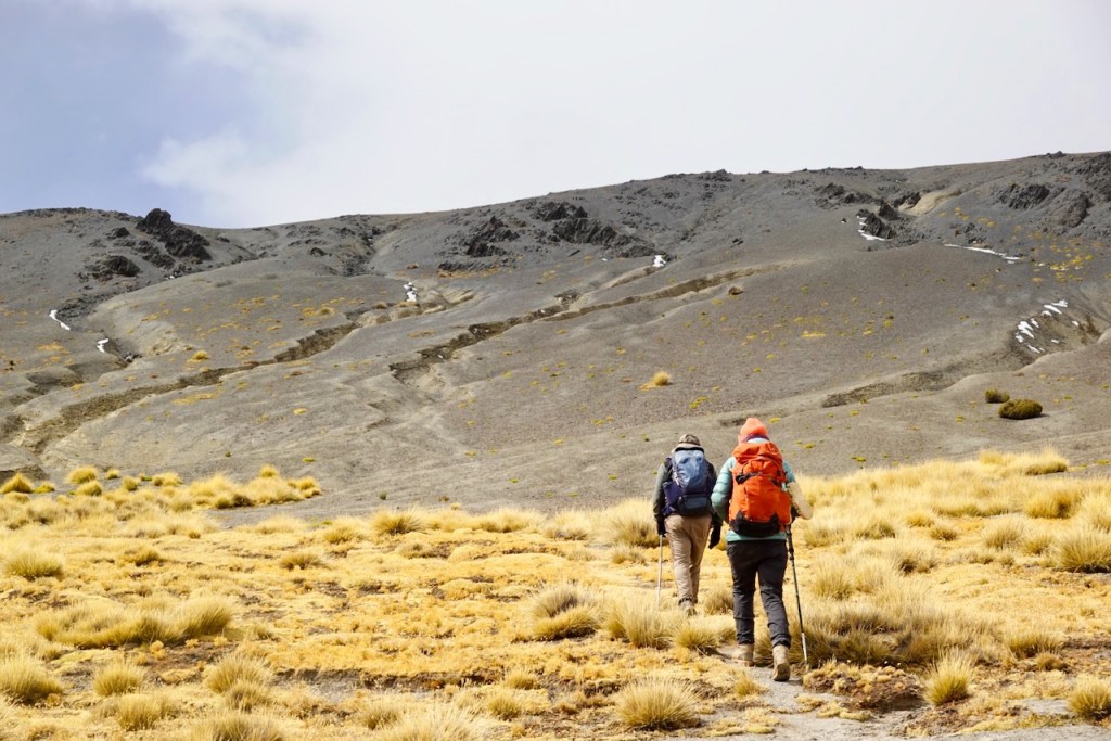 Two hikers trekking through a grassy plain with a rocky mountain in the background, under a cloudy sky.